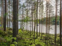 Varkaus, Miehalanjärvi, Sopalanniementie