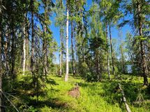 Sotkamo, Pieni-Kiimanen, Kaitainsalmi
