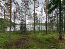 Kaavi, Rauvanlampi