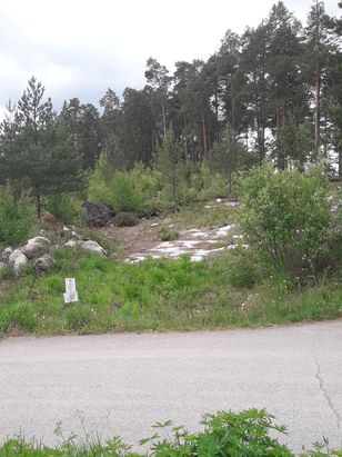 Kohdekuva