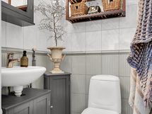 Kylpyhuoneen wc - Badrummets wc
