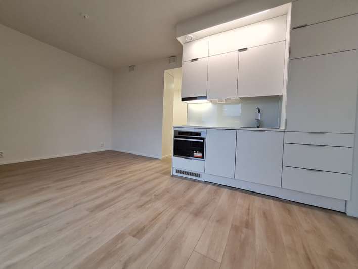 Kerrostalo, 1h+kt+rp, 27 m², Herttuankulma, Turku