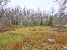 Oma 6300 m² tontti.