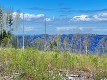 upeat näkymät järven selälle