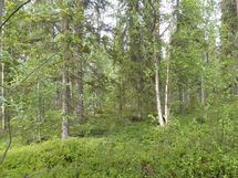 Pello, Miekojärvi, Karhumaan ranta-asemakaava