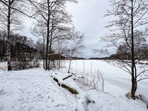 Alueella on useita puistoalueita meren rannalla