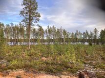 Kortteli 2, tontti 1