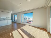 Asunnossa on yhtenäinen tammiparketti lattialla ja maalatut vaaleat seinäpinnat. Lattialämmitys.