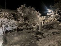 Myyjän omia kuvia pihalta eri vuoden aikoina