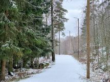 Ulkoilumaastot Herttoniemessä. Siilitiellä.