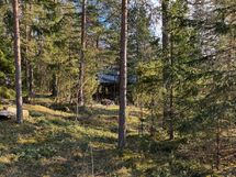 Takapihan omaa metsää maisemaa