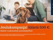 Laivalahdenportti 3 A