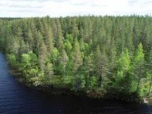 Saarijärvi, Kiesimenjärvi