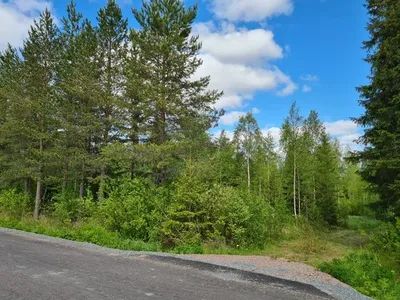 Tontti, 2,30 ha, Oulainen - View 4
