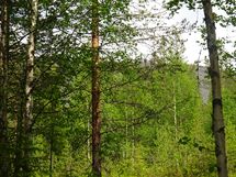 Sodankylä, Luosto Orresokka