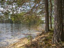 Heinävesi Pilppa Karjalansaari