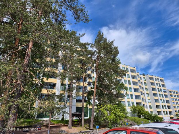 Asuntoilmoituksen kuva