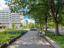 Länsi-Pasila on vehreä ja harvaan rakennettu asuinalue viihtyisine puistoineen.