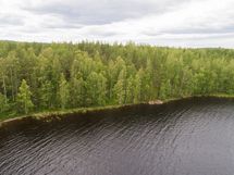 Puumala, Saimaa, Laakko