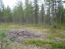  Savukoski Pykäläinen-Kuttusoja, Kemioki, Huuhkajantie