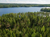 Kaavi, Rikkavesi, Luikonlahti