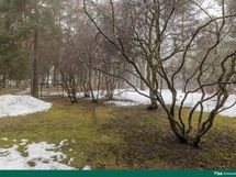 Parvekkeelta avautuu rauhallinen näkymä pihalle