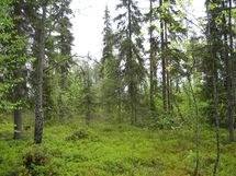 Pello, Miekojärvi, Karhumaan ranta-asemakaava