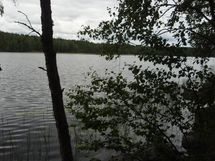 Näkymä rantaan