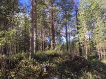 Kemijärvi, Soppela, Ketovaara
