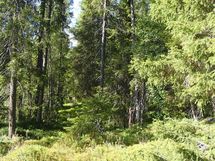 Salla, Sallatunturi, Seitakuja