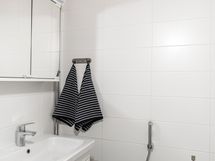 Erillinen WC