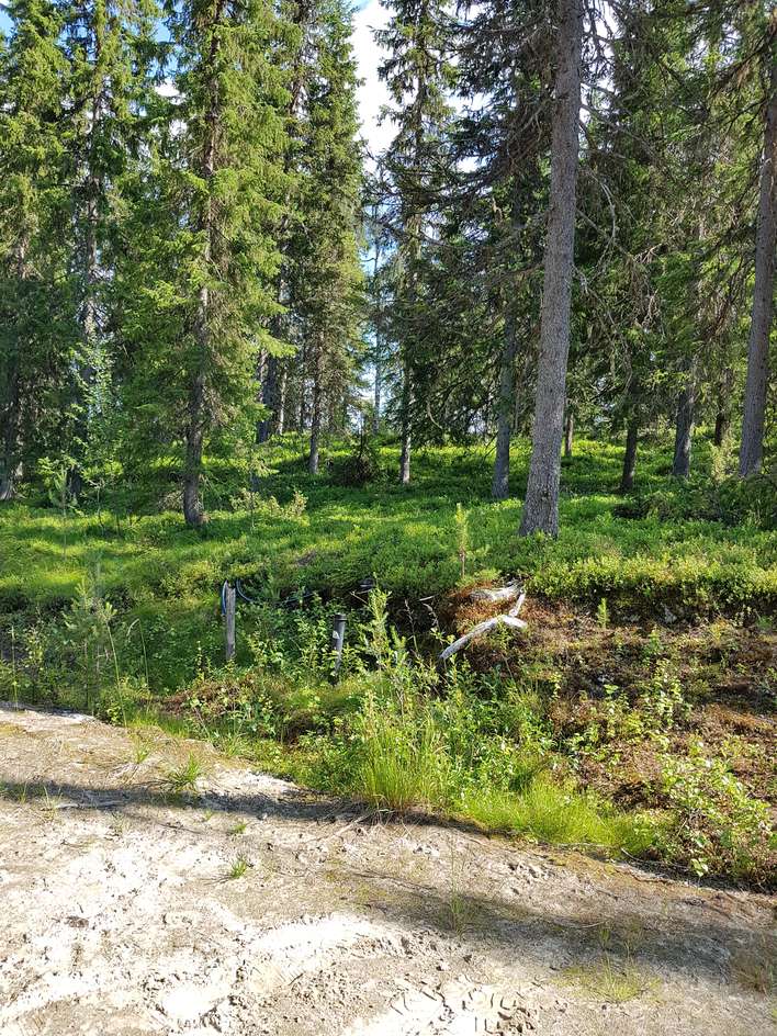 Tontti, 1 375 m², Pudasjärvi