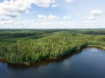 Pertunmaa, Peruvesi