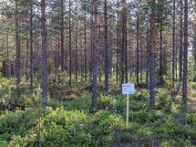Puolanka, Pirttijärvi