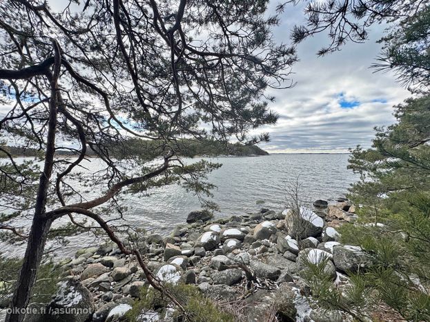 Asuntoilmoituksen kuva