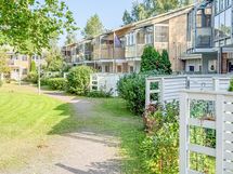 Alue on vehreä ja viihtyisä. Omalle pihalle mahtuu pihakalusteita.