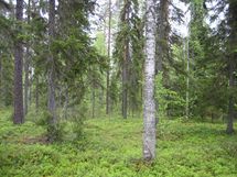 Pello, Miekojärvi-Karhumaa