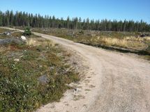 Risteys josta aukean yli tontille