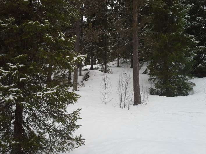 Tontti, 1 375 m², Pudasjärvi - Näkymä 4