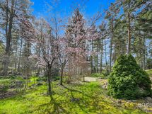 Järnö 55 piha etelään - Gård söderut