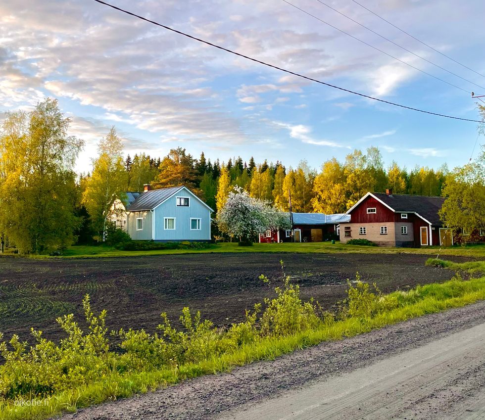 Kohdekuva