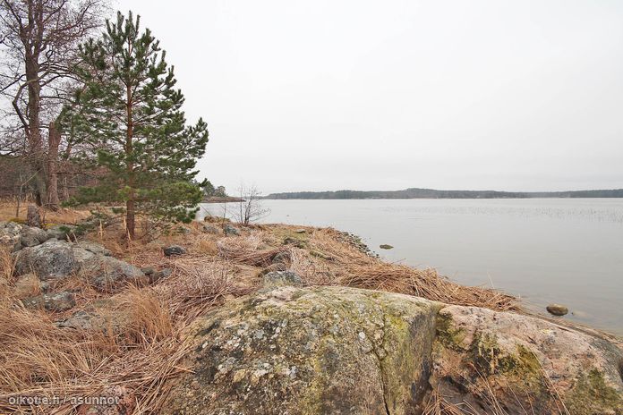 Asuntoilmoituksen kuva