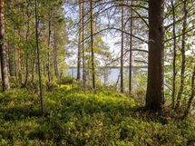 Puolanka, Pirttijärvi