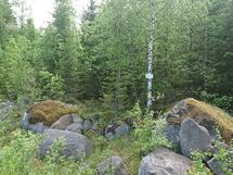 Tontti 5-2 tien laita