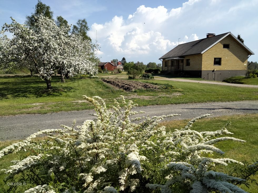 Kohdekuva