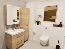 taiteilijan luonnoskuva talo G wc