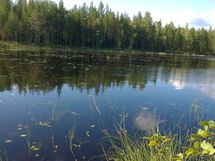 Järvinäkymä