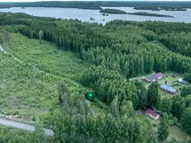Puula taustalla