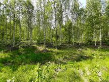 Leppävirta, Osmajärvi, Itkola