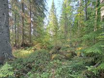 Heinävesi, Suuri Humalajärvi